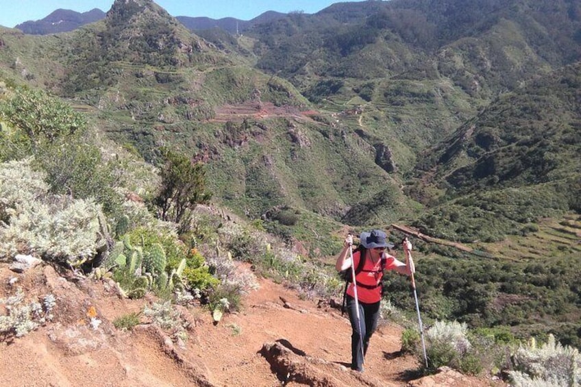 Hike into the lost paradise Anaga