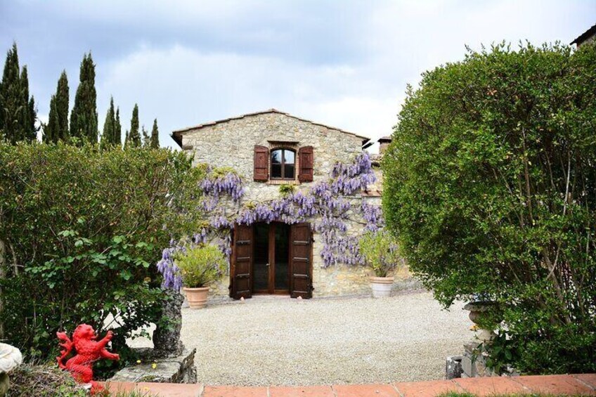 Chianti Classico with Lunch Half Day from Florence