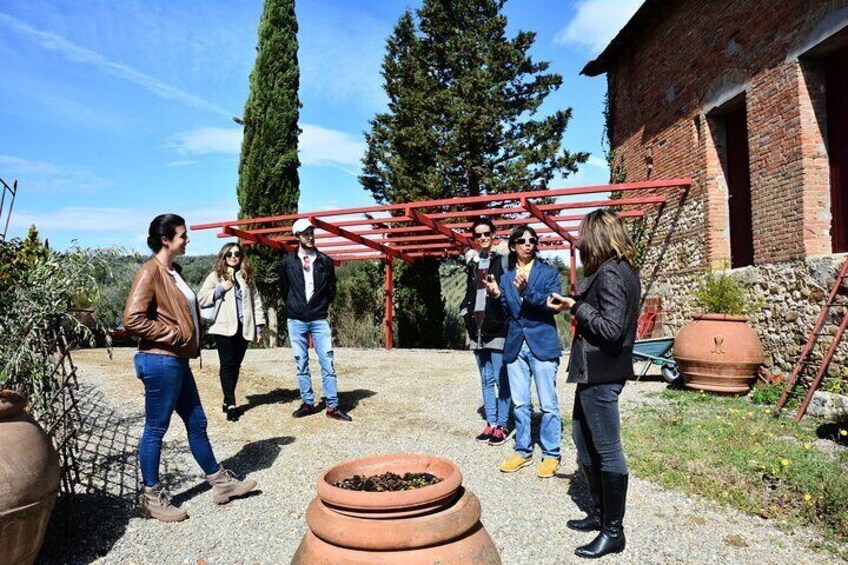 Chianti Classico with Lunch Half Day from Florence