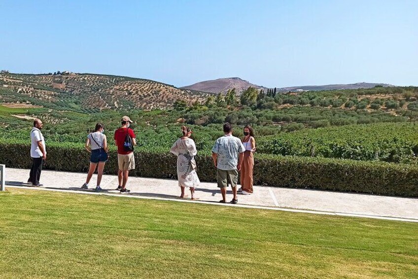 Best Wines of Crete: Wine Tasting Tour & traditional Lunch