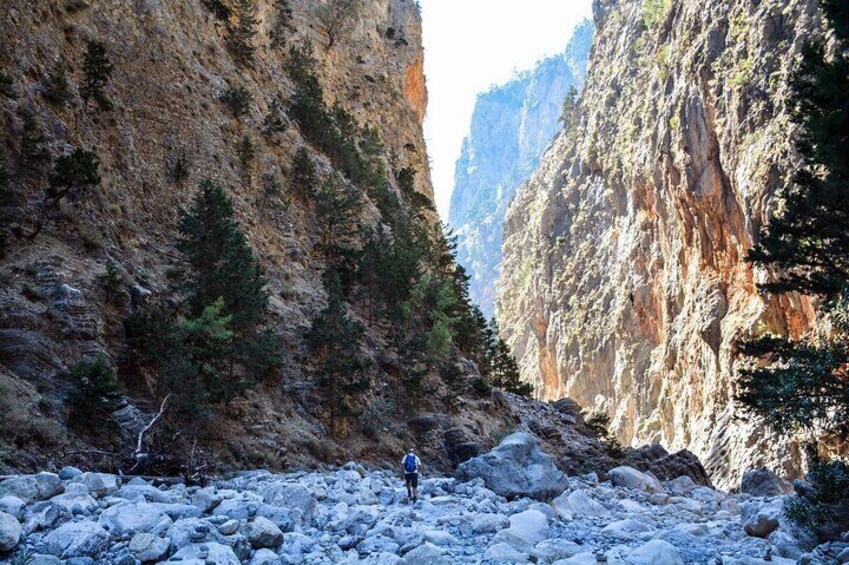 Samaria Gorge Hike from Heraklion region