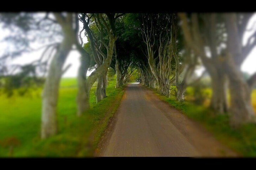 Game of Thrones
The Dark Hedges
"Kings Road"