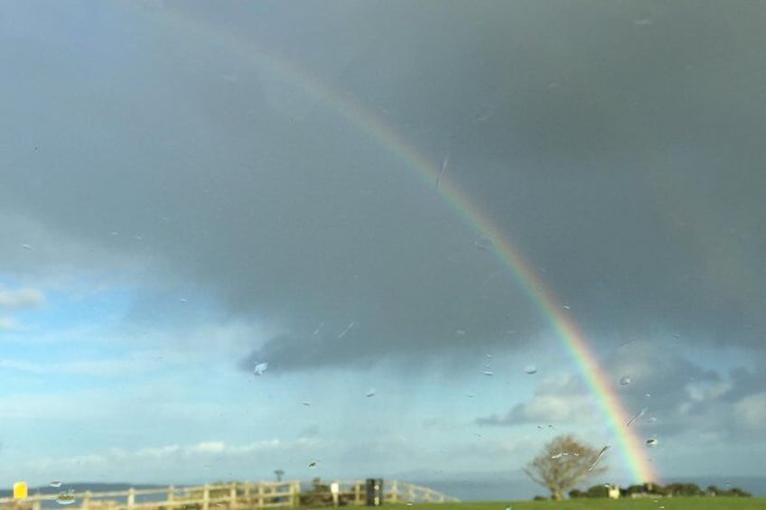 Looking for a pot of Gold