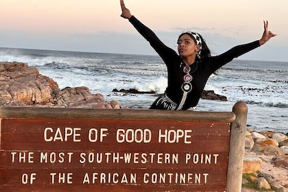 Privat tur: Kapp det gode håp og Cape Point fra Cape Town