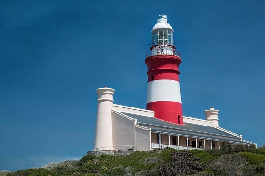 Cape Agulhas Full Day Private Tour from Cape Town