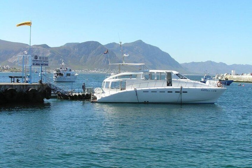 Hermanus Whale Watching Shared Boat Trip and Private Wine Tour from Cape Town