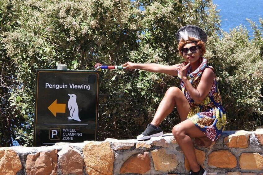 Boulders Beach Cape Town