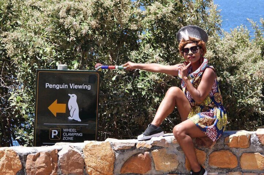 Boulders Beach Cape Town