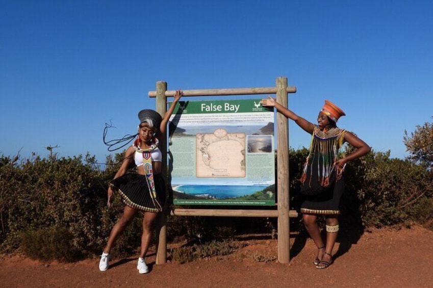 Table Mountain, Penguins & Cape Point Small Group Tour from Cape Town