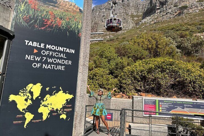 Table Mountain, Boulder's Penguins & Cape Point Private Tour from Cape Town