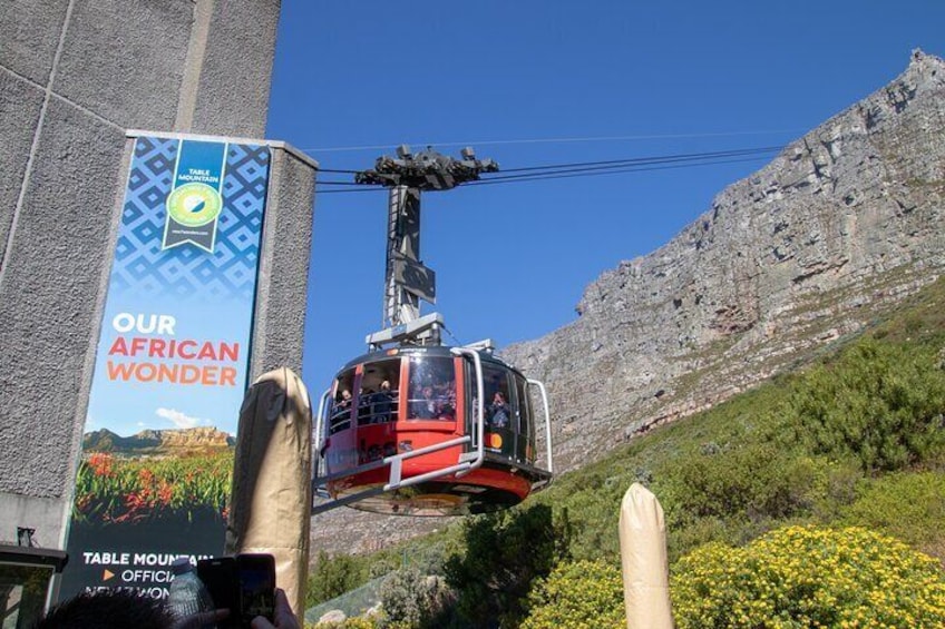 Table Mountain the 7 New Wonders of nature
