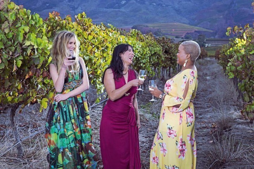 Stellenbosch and Franschhoek Winelands Full Day Shared Tour