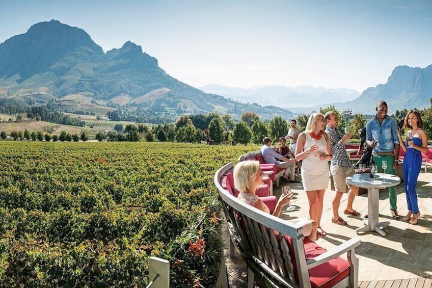 Cape Town Wine Tours