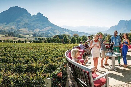 Stellenbosch and Franschhoek Winelands Full Day Shared Tour from Cape Town