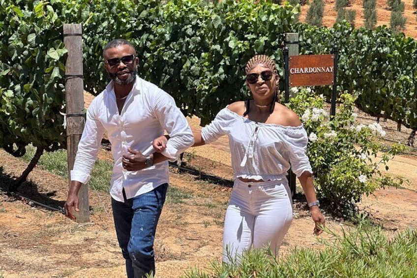 Stellenbosch and Franschhoek 20 Wine Tasting & Lunch & Tasting Fees Shared Tour