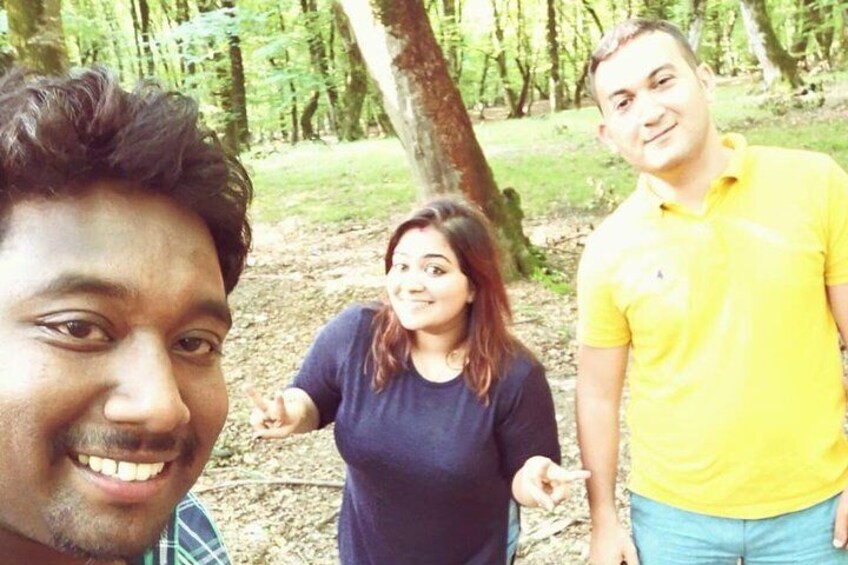 Gabala forest