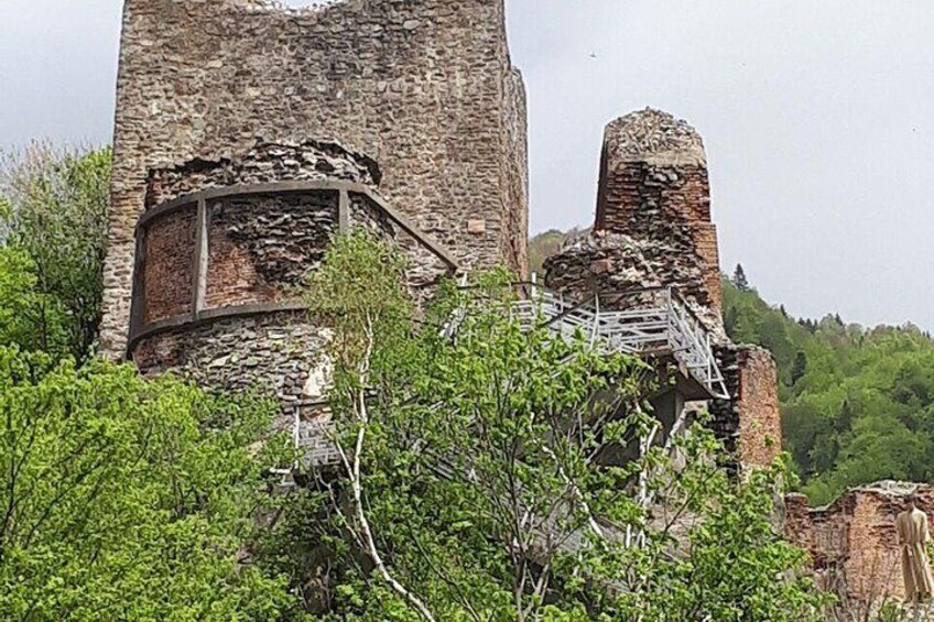 Executive Bear Sanctuary, Dracula's Castle and Brasov Day Trip (12h)