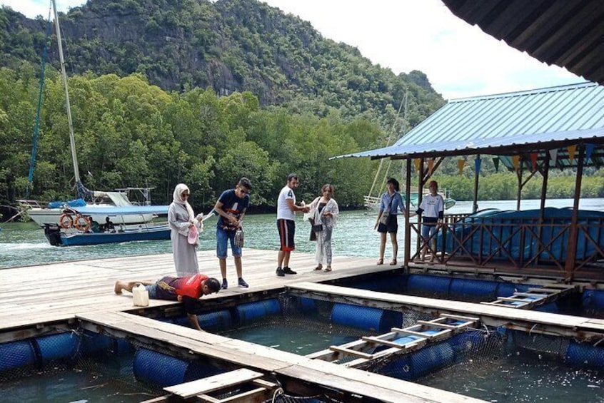 Langkawi Half Day Mangrove Tour - Sharing Basis