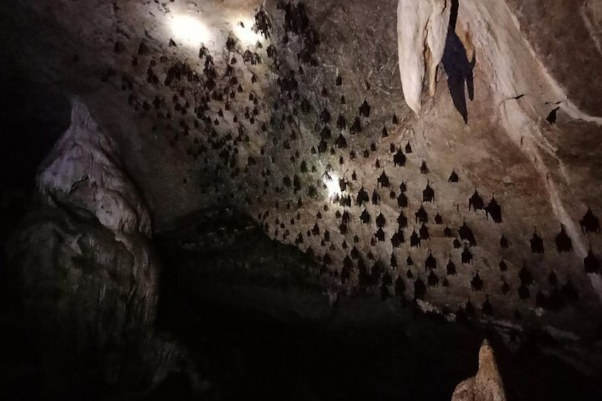 Bat cave
