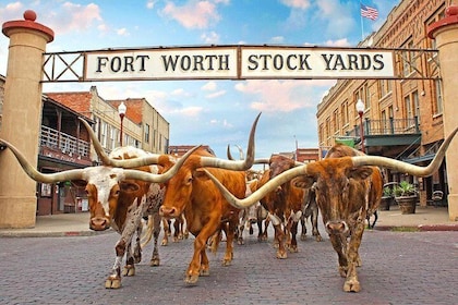 Fort Worth Highlights Private Tour