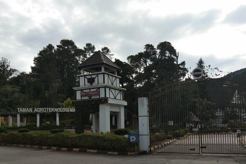 Cameron Highland Day Tour Private