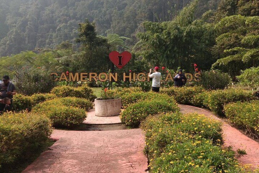 Cameron Highland Day Tour Private