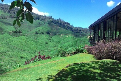 Cameron Highlands 3 Days 2 Night Tours Private (per Vehicle)