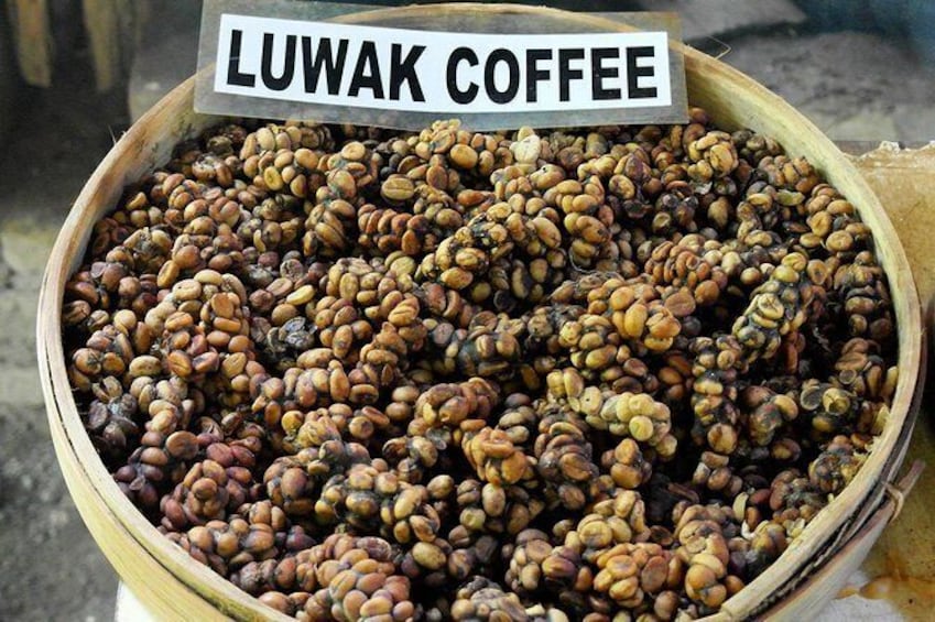 Full Day Temples Tour with Luwak Coffee experience