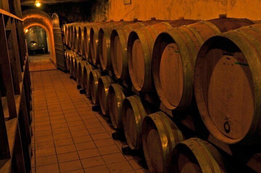 Winery - cellar