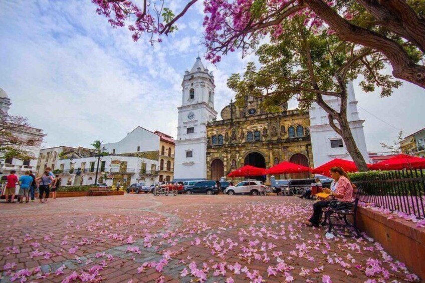  City Tour y Canal de Panamá