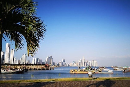 Visite de la ville et du canal de Panama