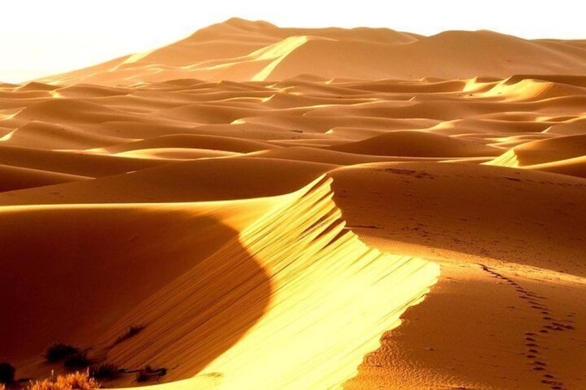 3 Days Desert Trips : Agadir to Merzouga to Marrakesh