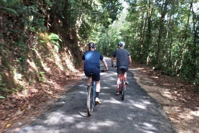 Entering Kithulgala Rainforest