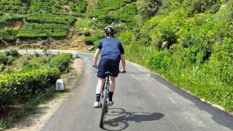 Cycle from Adam's Peak to Kithulgala and go white water rafting