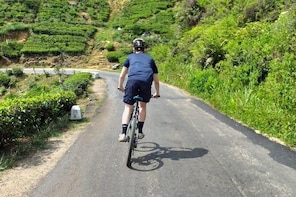 Cycle from Adam's Peak to Kithulgala and go white water rafting