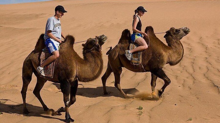 1 Day Semi-Gobi All-included tour