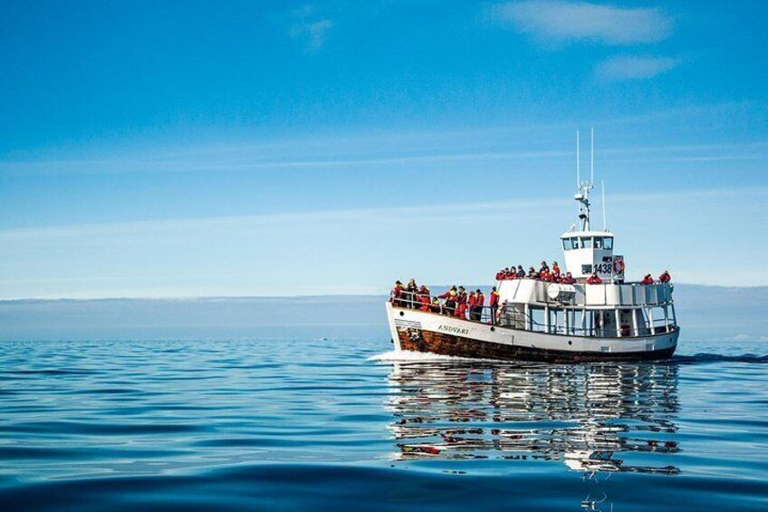 Andvari the electric whale watching boat