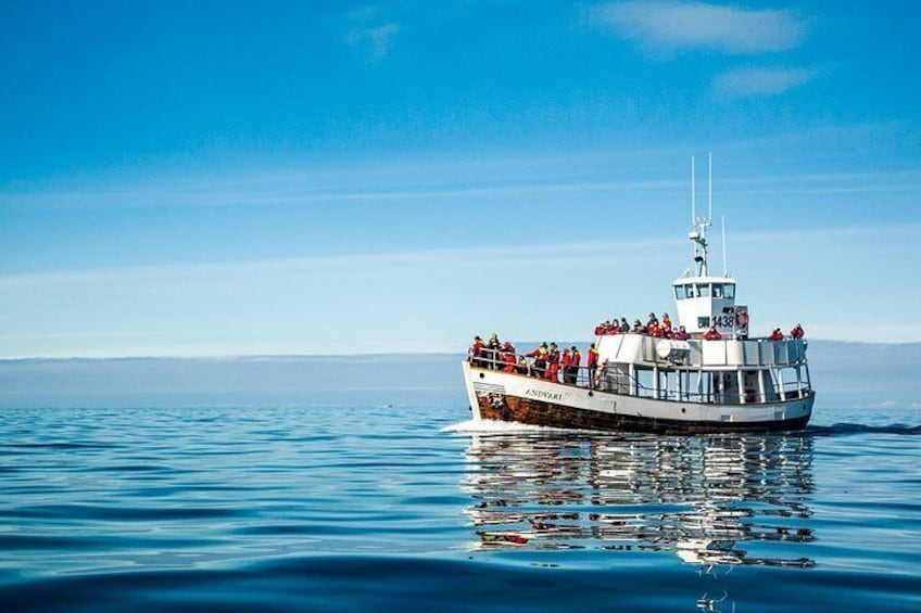 Andvari the electric whale watching boat