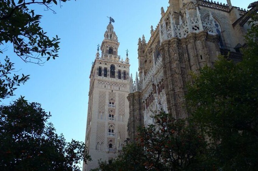 Guided Tour Sevilla Cathedral - Priority Access