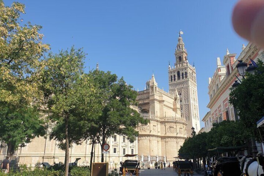 Guided Tour Sevilla Cathedral - Priority Access