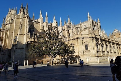 Tour guidato di 1 ora della cattedrale di Siviglia con salita sulla torre d...