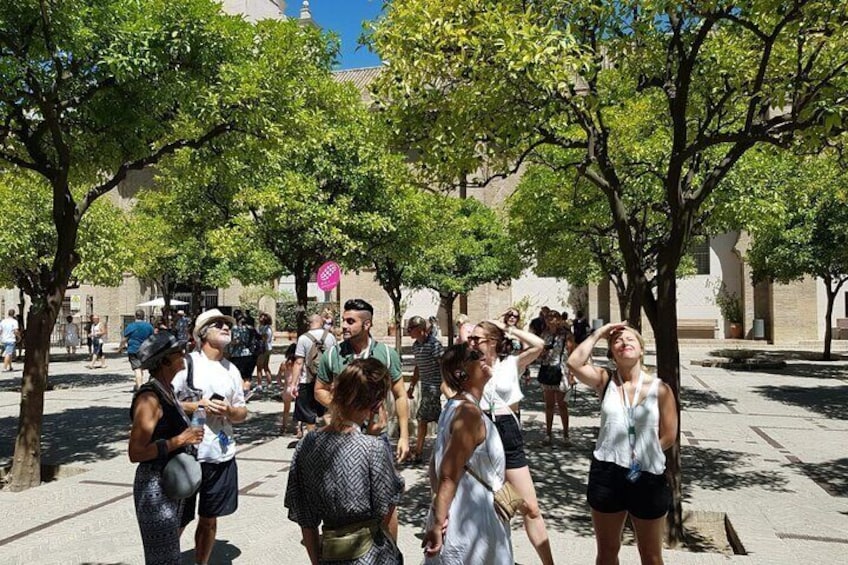 Guided Tour Sevilla Cathedral - Priority Access