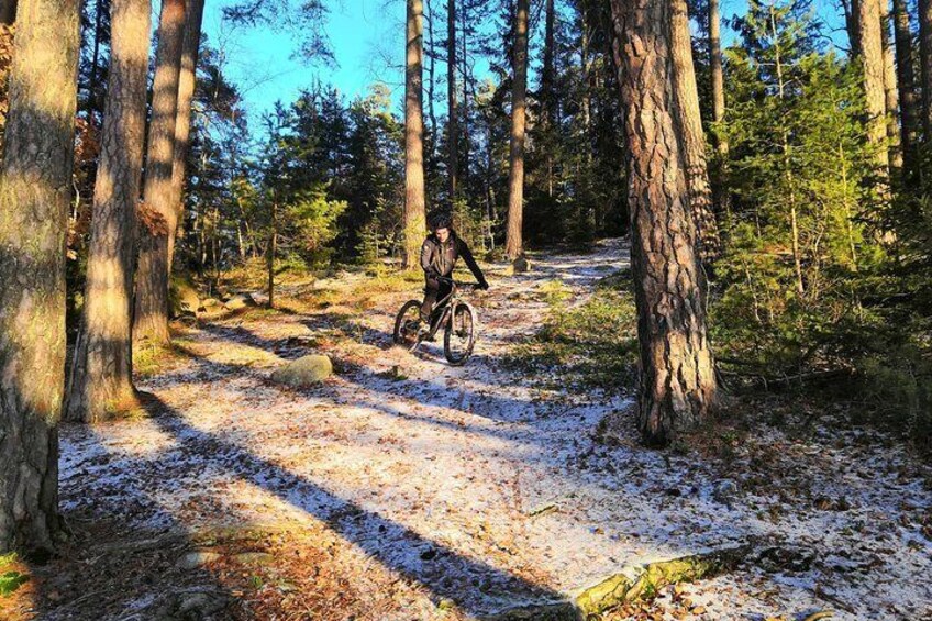 Mountain biking in Stockholm forests True Nature Sweden