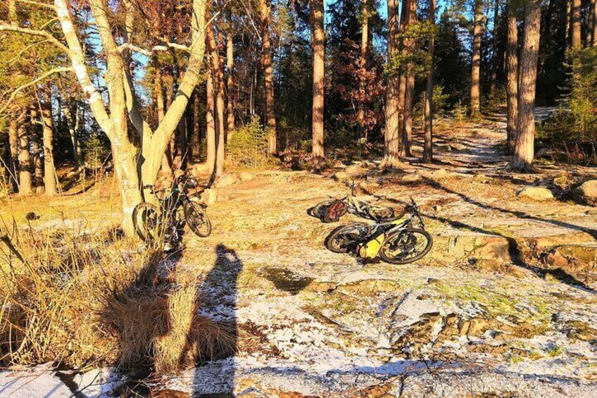 Mountain biking in Stockholm forests True Nature Sweden