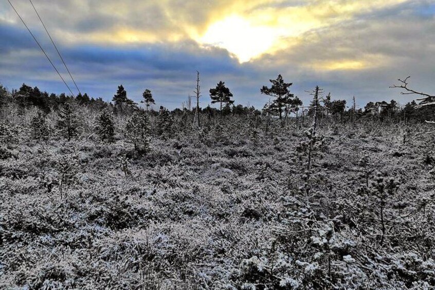 Hiking 1 day Stockholm nature winter tour