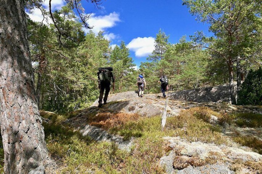 Hiking 1 day Stockholm nature winter tour