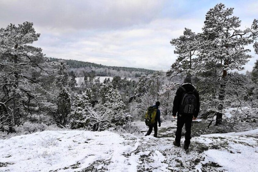 Hiking 1 day Stockholm nature winter tour