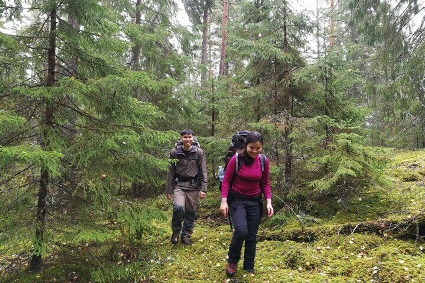 1-Day Small-Group Stockholm Nature Hiking