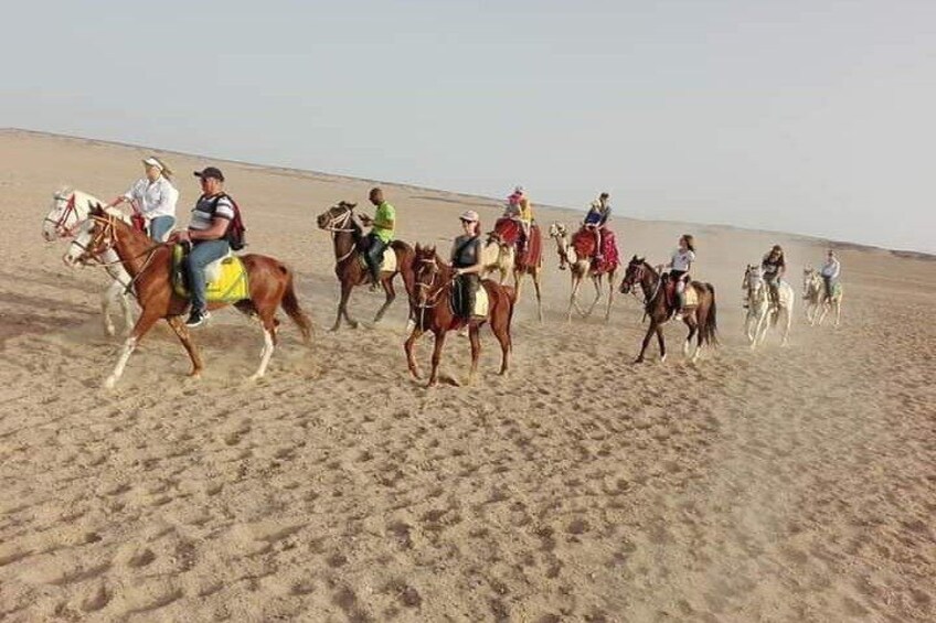 Horse Riding one Hours In the wonderful desert - Hurghada