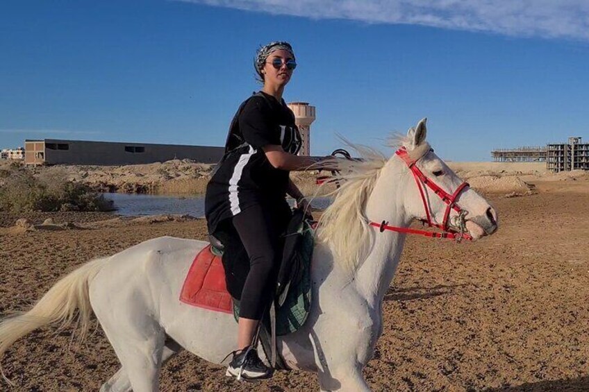 Horse Riding one Hours In the wonderful desert - Hurghada